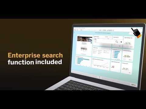 SAP Business One: SAP HANA & Enterprise Search