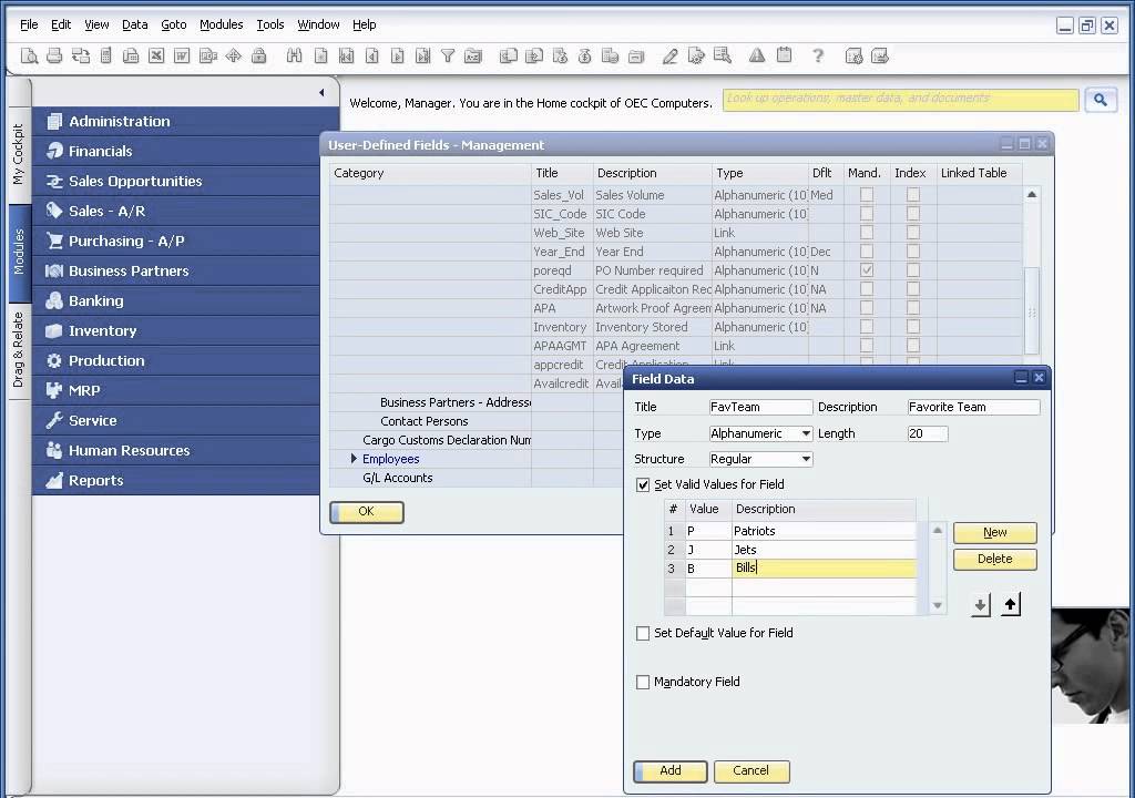 What are User defined fields in SAP Business One